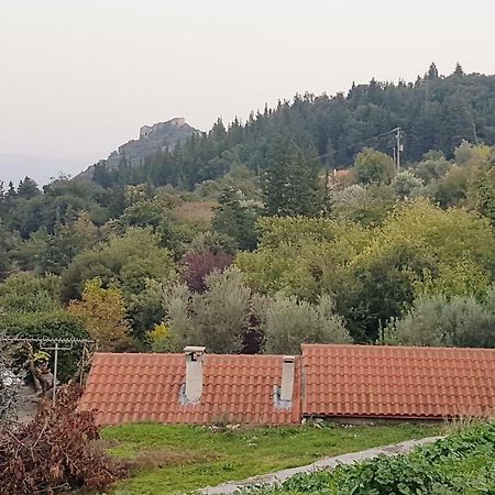 스파르티 Luxury House In The Hills 게스트하우스 외부 사진