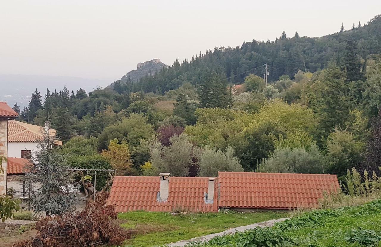 스파르티 Luxury House In The Hills 게스트하우스 외부 사진